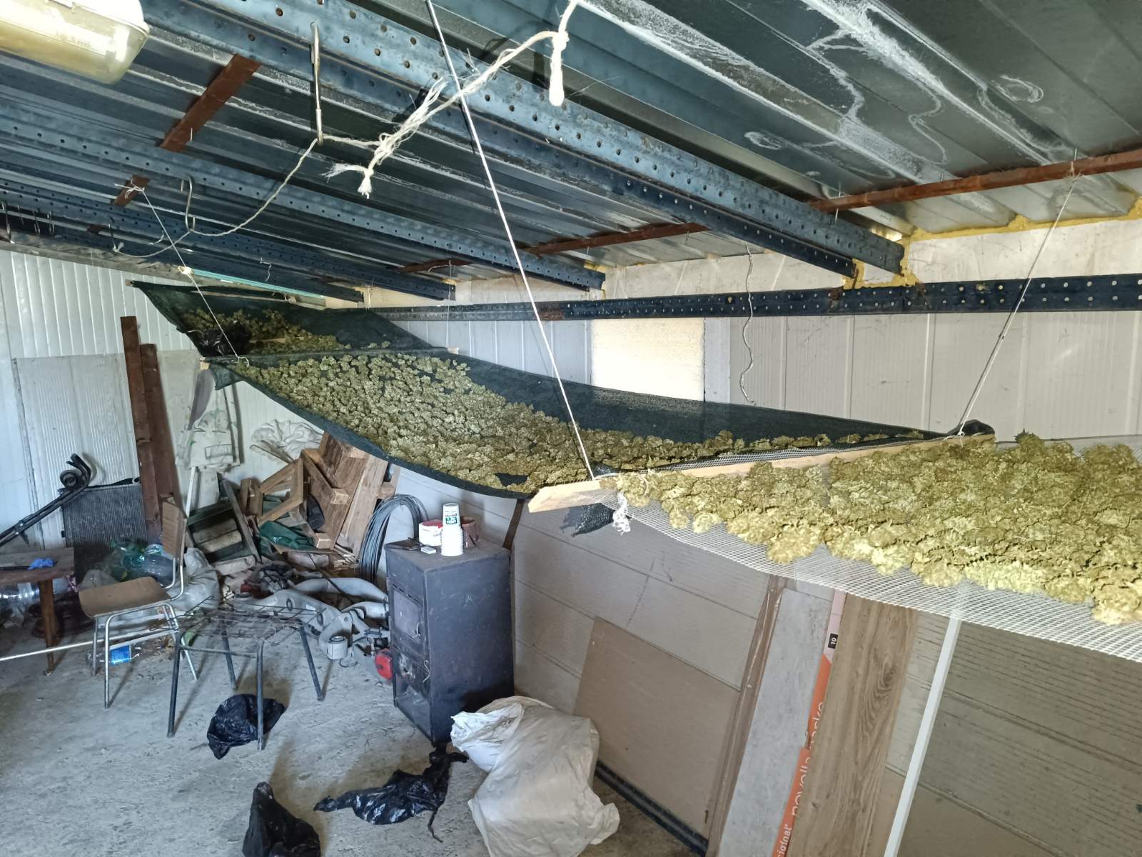 ГДБОП задържа трима за отглеждане и разпространение на марихуана (СНИМКИ)