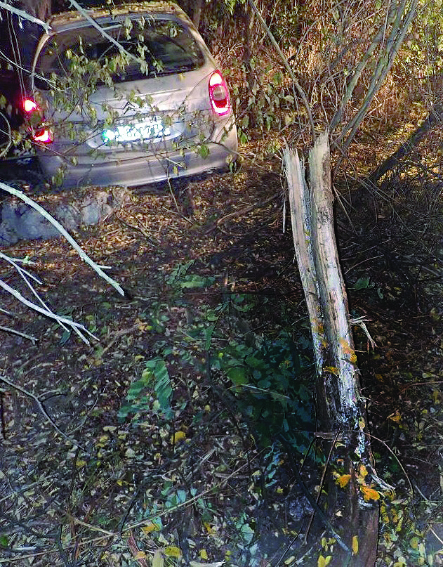 Пиян шофьор уби 4-годишно дете (обзор)