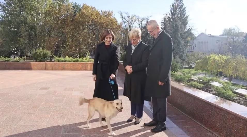 Президентско куче ухапа гостуващ държавен глава