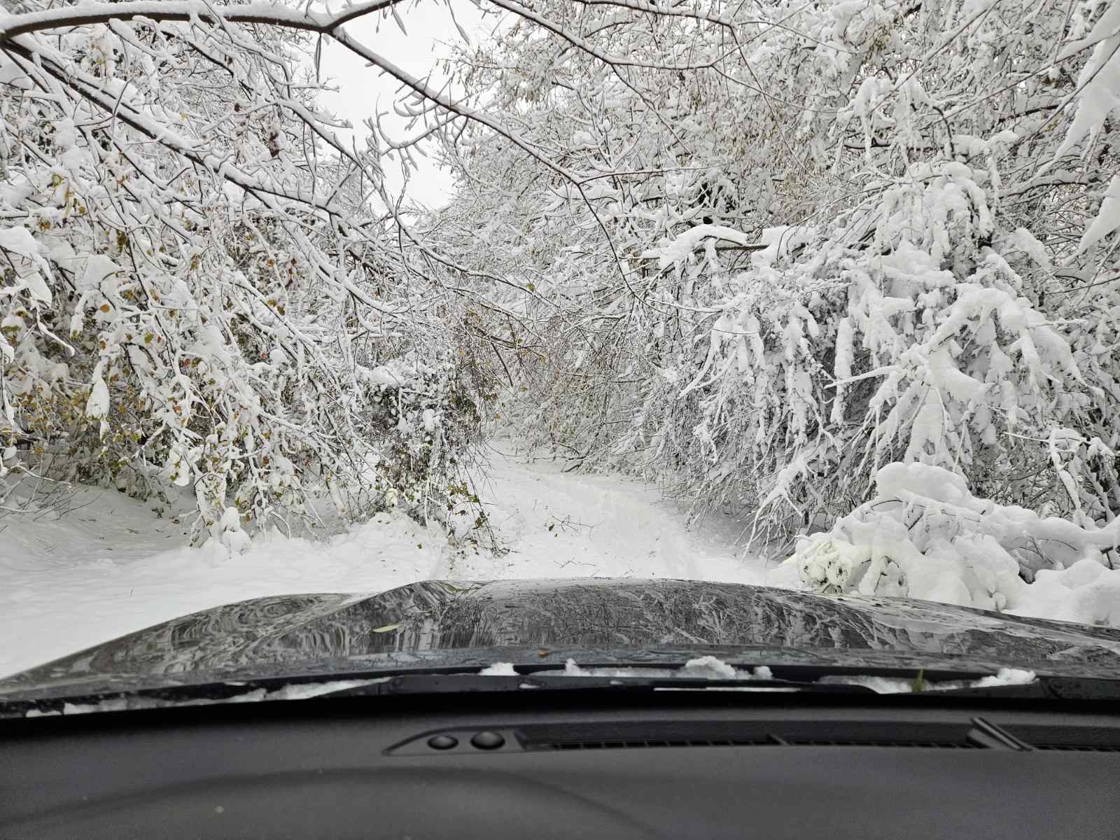 Горски помагат за преодоляване на бедствието в Североизтока