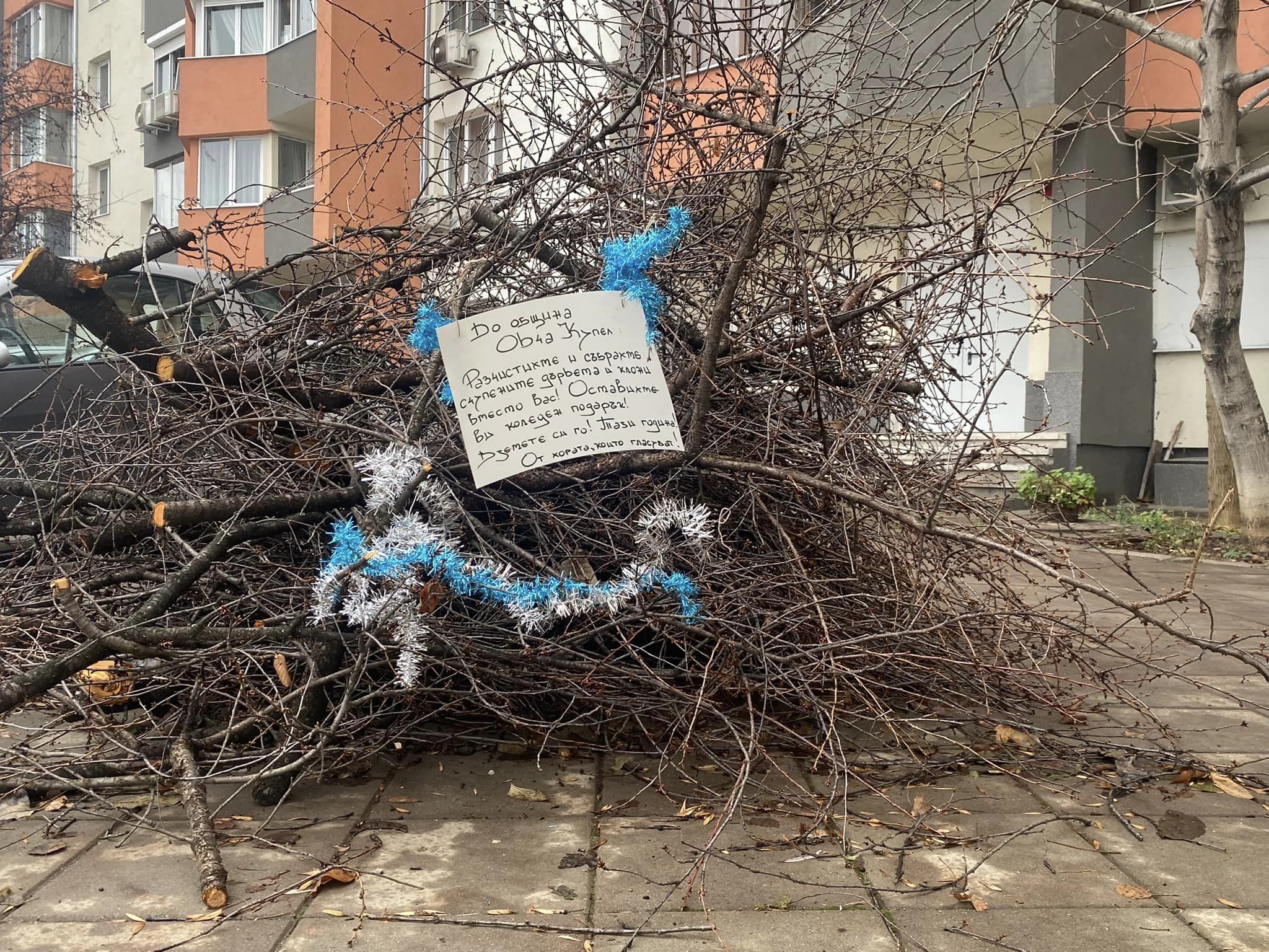 Жители на "Овча купел" сами събраха паднали клони, украсиха ги с гирлянди за общината