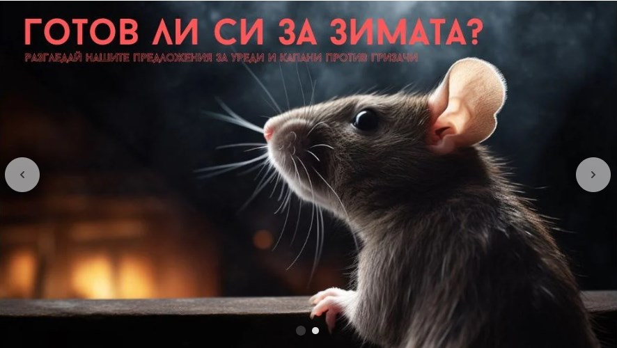 Как да си направим капан за плъхове?