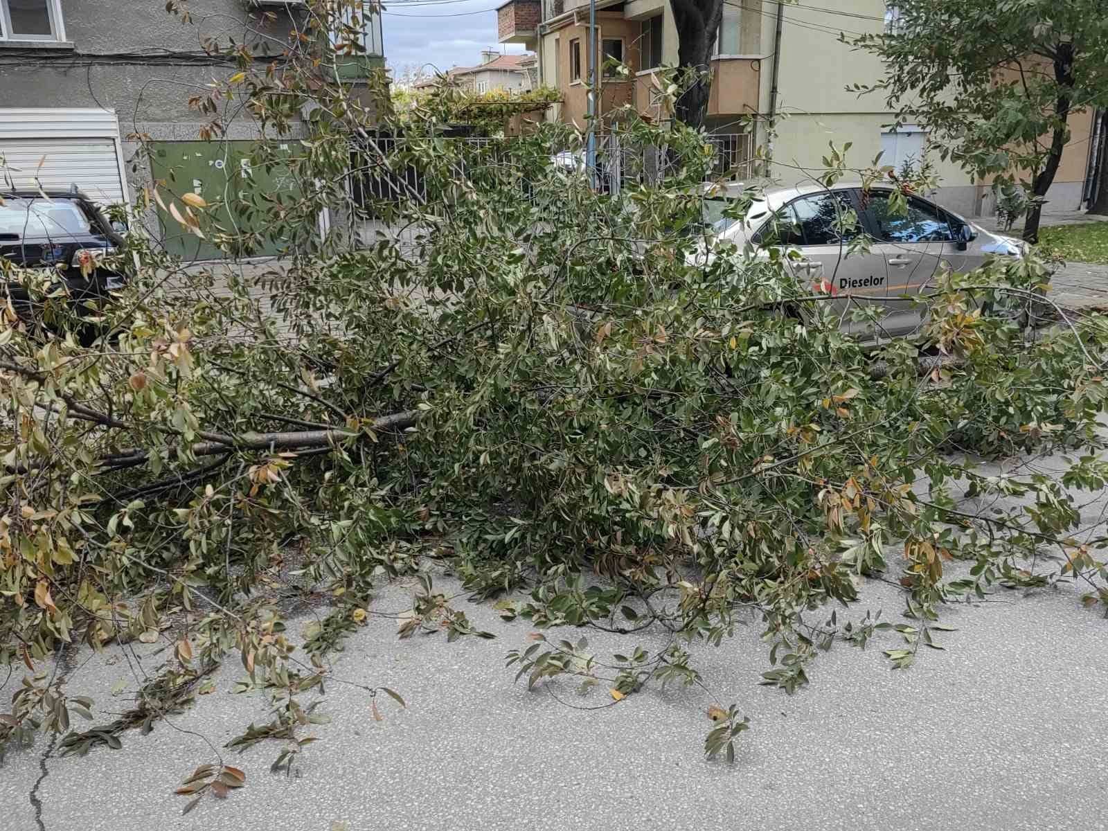 Ураганен вятър причини щети в Русе