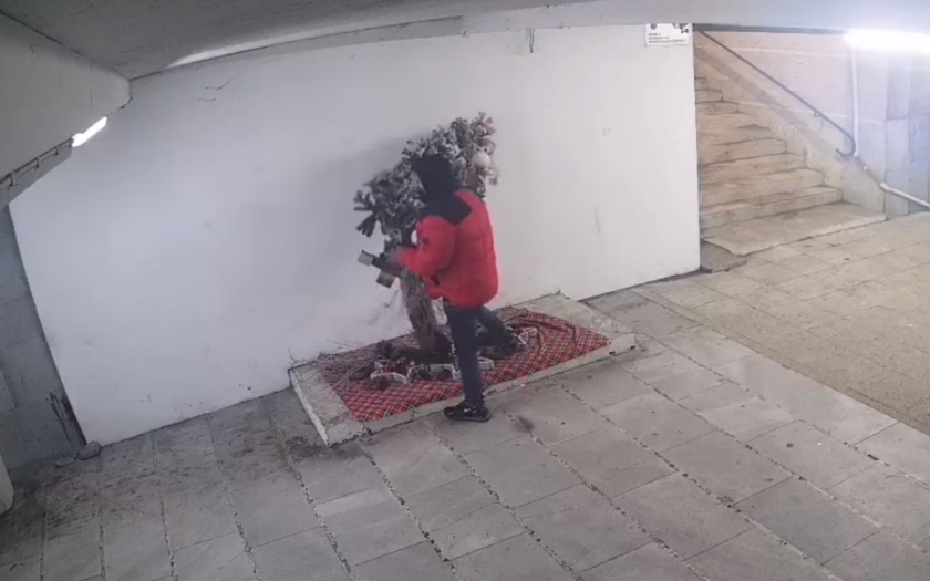 Откраднаха елха от украсата на Перник (ВИДЕО)