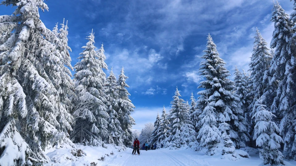 ПСС: В планините е слънчево и тихо