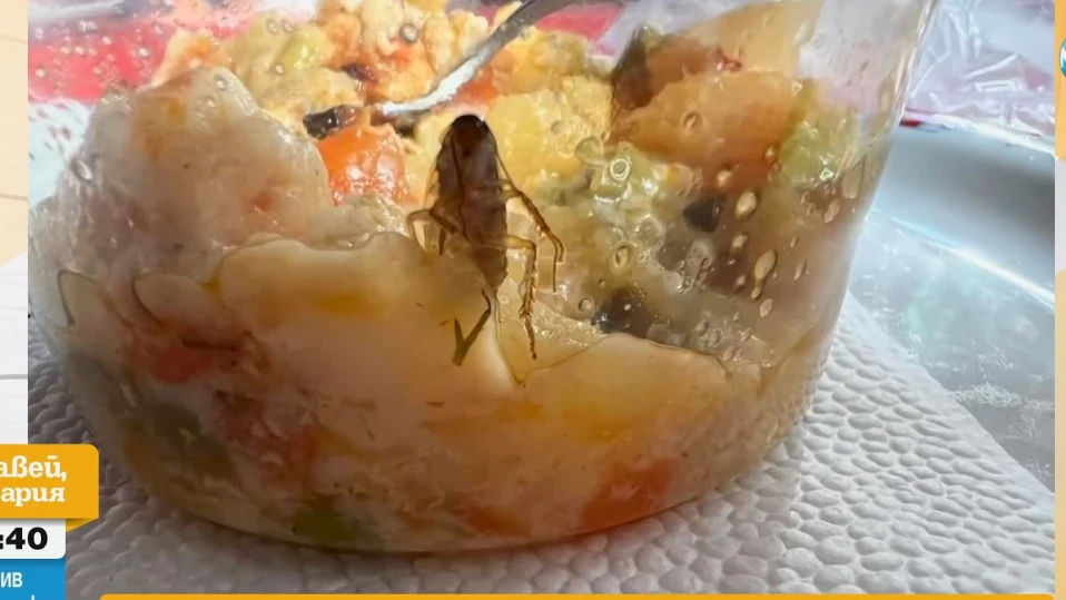 Майка намери хлебарка в храната на детето си