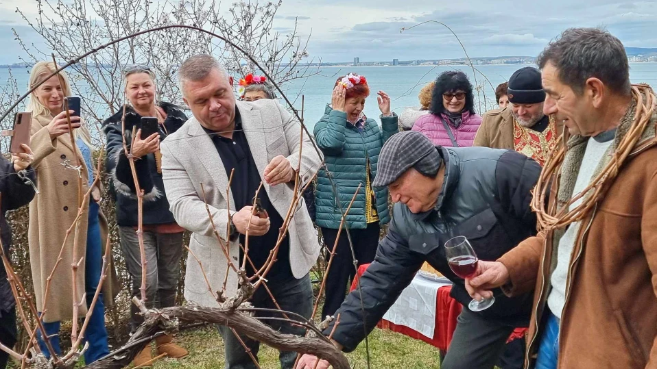Един тон червено вино раздават в Свети Влас за Трифон Зарезан