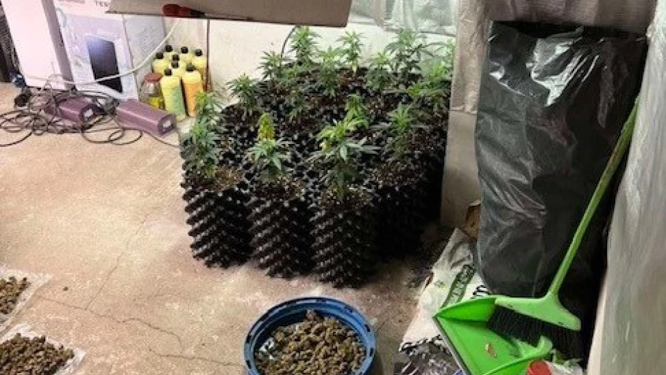 При спецакция: Иззеха 8 кг. наркотици и голяма сума пари в София (СНИМКИ)