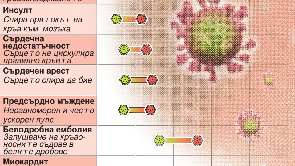 Рискове за сърцето след COVID-19 (Инфографика)