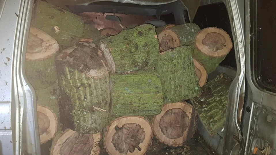 Над 3000 проверки за месец в горите, иззеха 4 коли