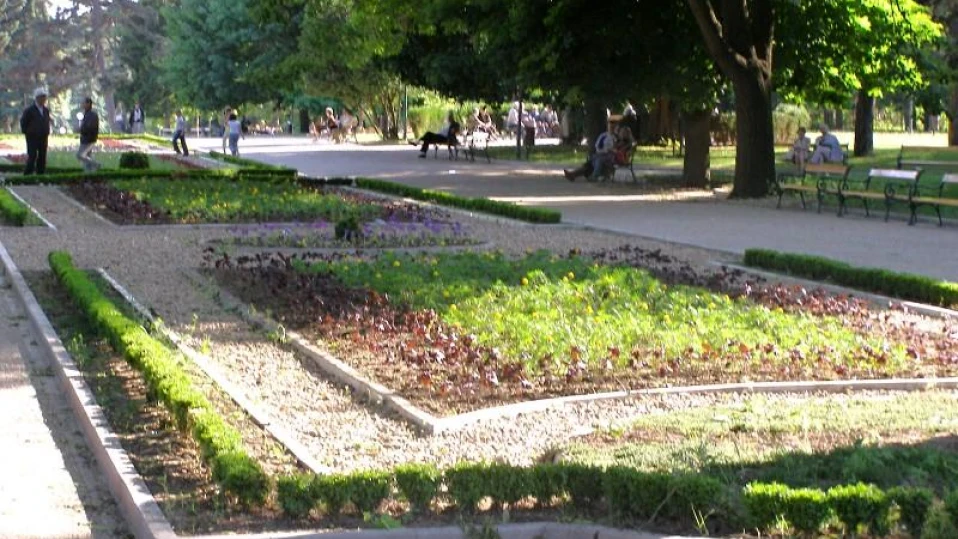 Психично болен закла мъж и рани друг