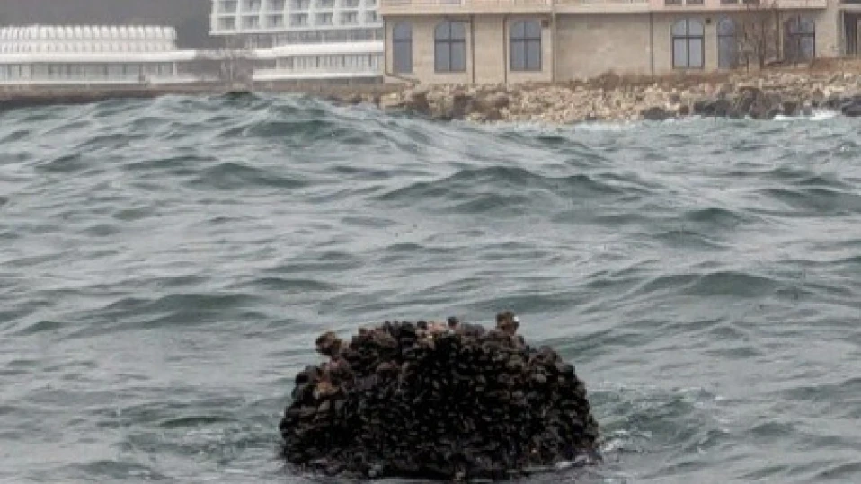 Военни моряци унищожиха плаващата в морето край Варна мина