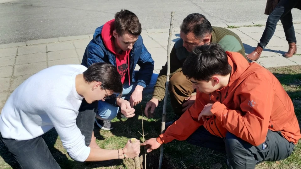 Шуменски математици залесяваха на Платото