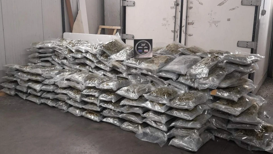 Близо половин тон наркотици заловиха митниците за 2 седмици