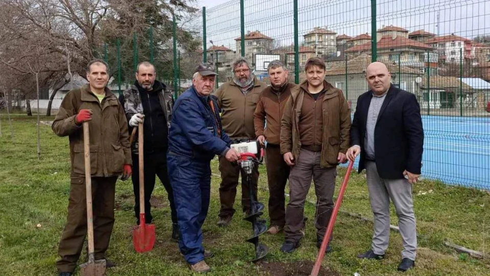 Залесяваха ели в Нови пазар и Каспичан