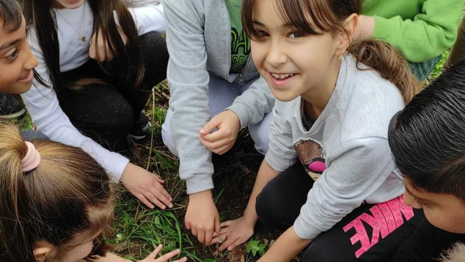 Ученици и горски залесяваха във Върбица