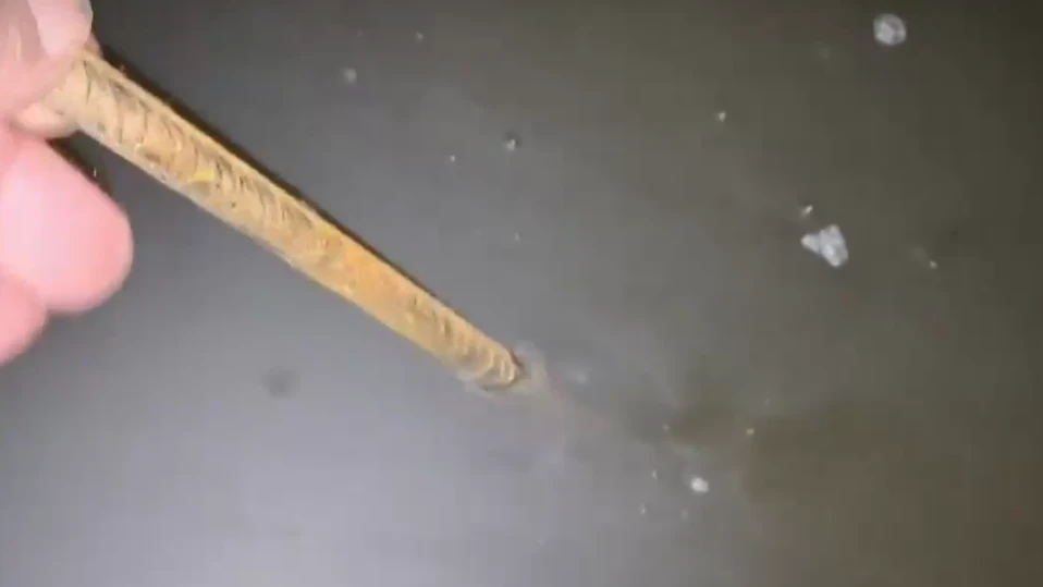 Мазета в блок в Перник се пълнят с фекални води, хората живеят в смрад