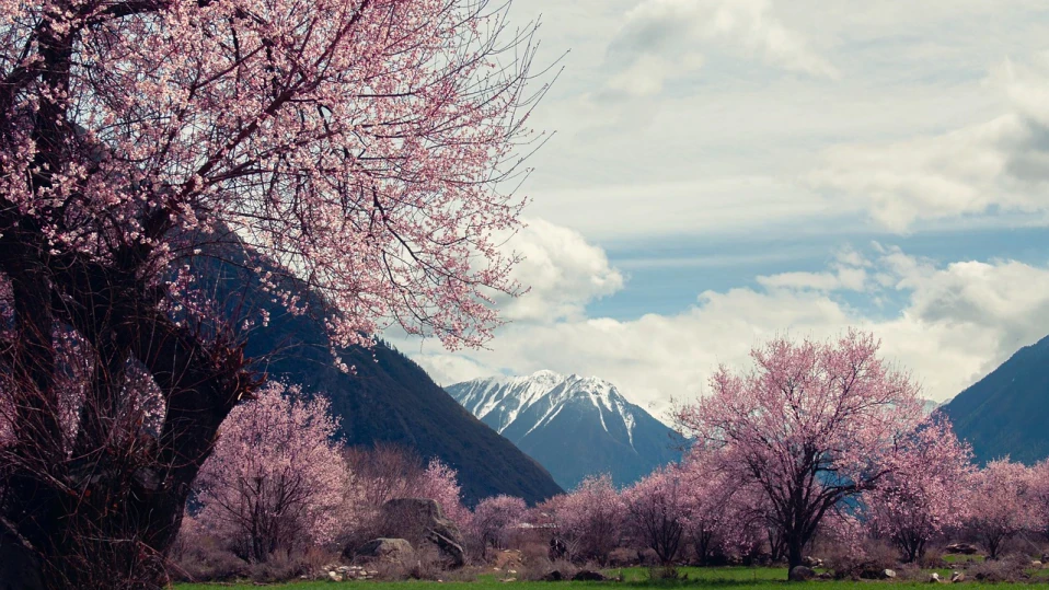 ПСС: Условията за туризъм са добри, но е ветровито в по-високите части на планината