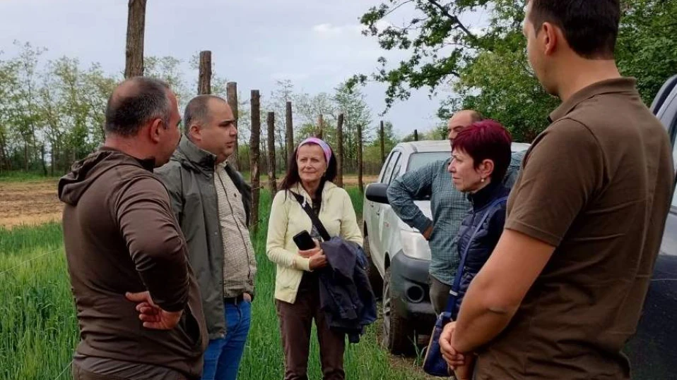 Близо 800 дка нови гори в Североизтока по проект