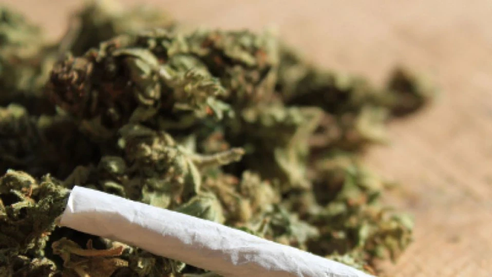 Сгрешена пратка: Бурканчета с марихуана вместо сешоар при поръчка по интернет