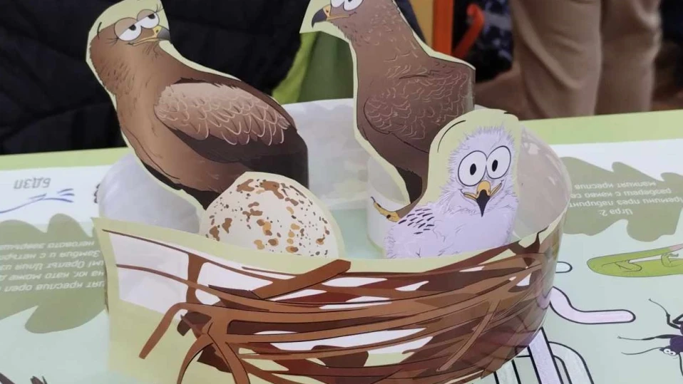 Нов урок за орлето Илия