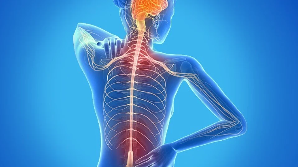 Лекари от цял свят се събират в София за множествената склероза