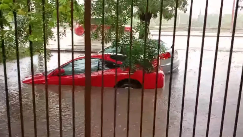 Продължава възстановяването след бурята в София