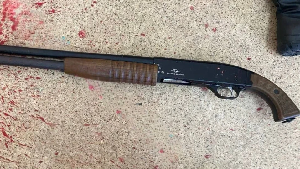 2 години затвор за мъж, прострелял с въздушна пушка бездомно куче в Солун