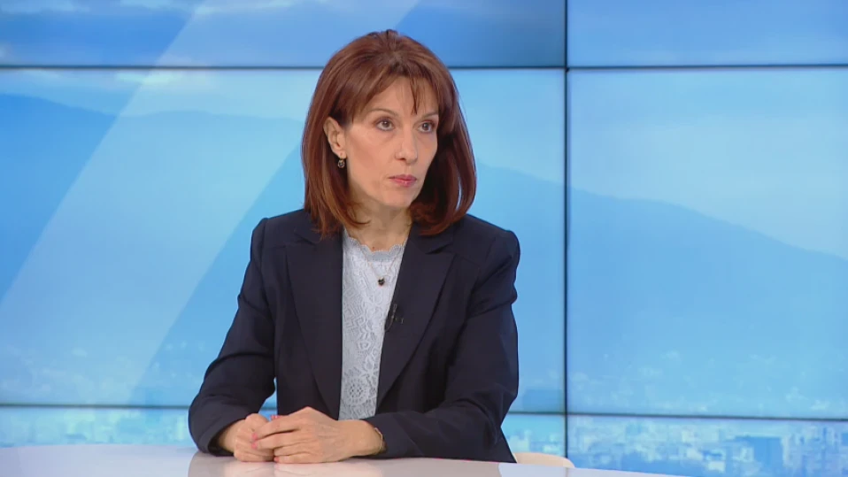 480 000 български граждани нямат право да гласуват за Европарламент, каза Камелия Нейкова