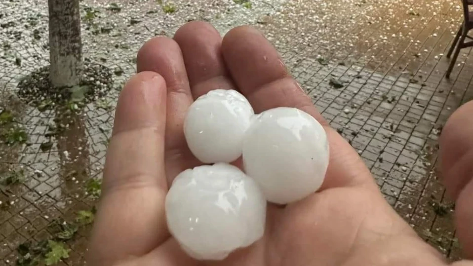 Градушка с големина на орех уби реколтата в Кърджалийско