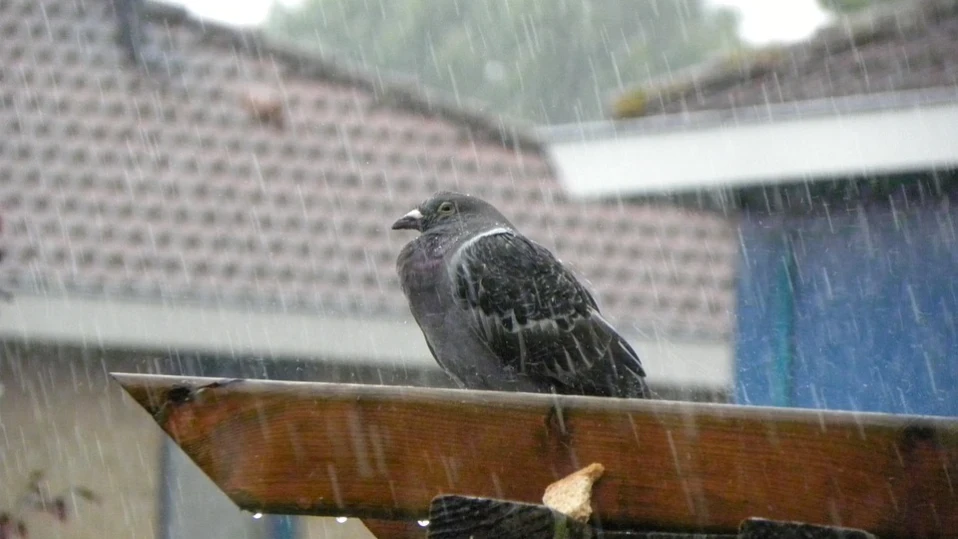 Идат бури и градушки в 11 области на страната