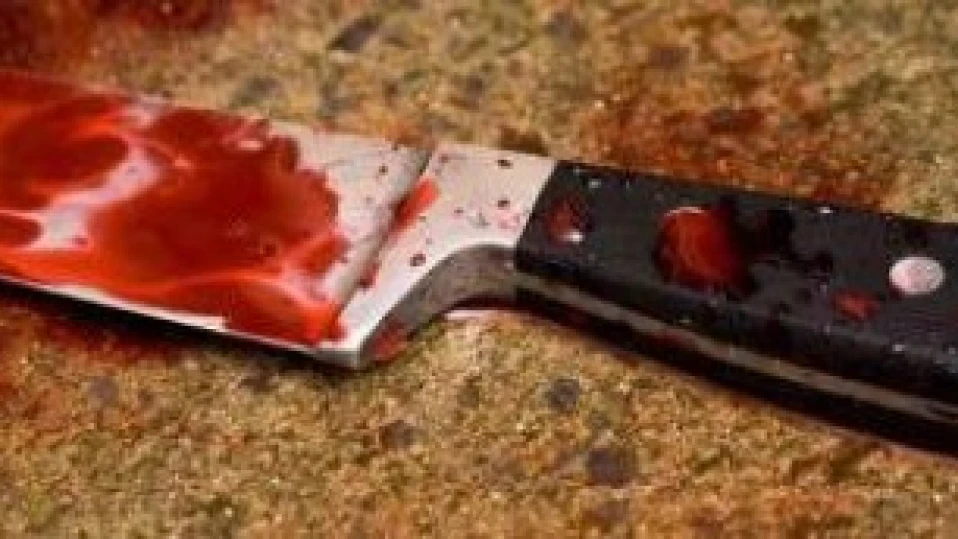 Мъж с психично заболяване намушка майка си смъртоносно с нож