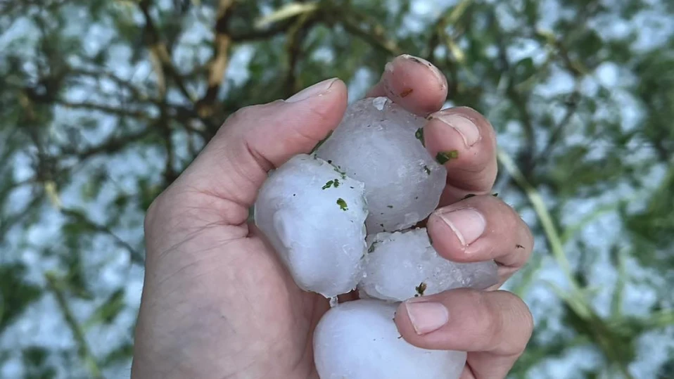 300 заявления за помощ са подадени в град Шипка след градушката