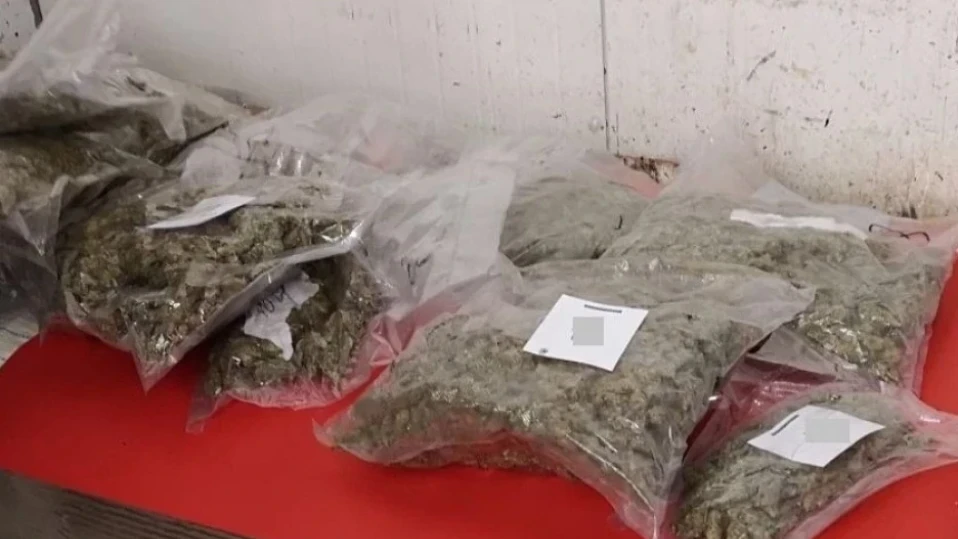 Сектор "Кобра" задържа хашиш на стойност 24 хил. лева