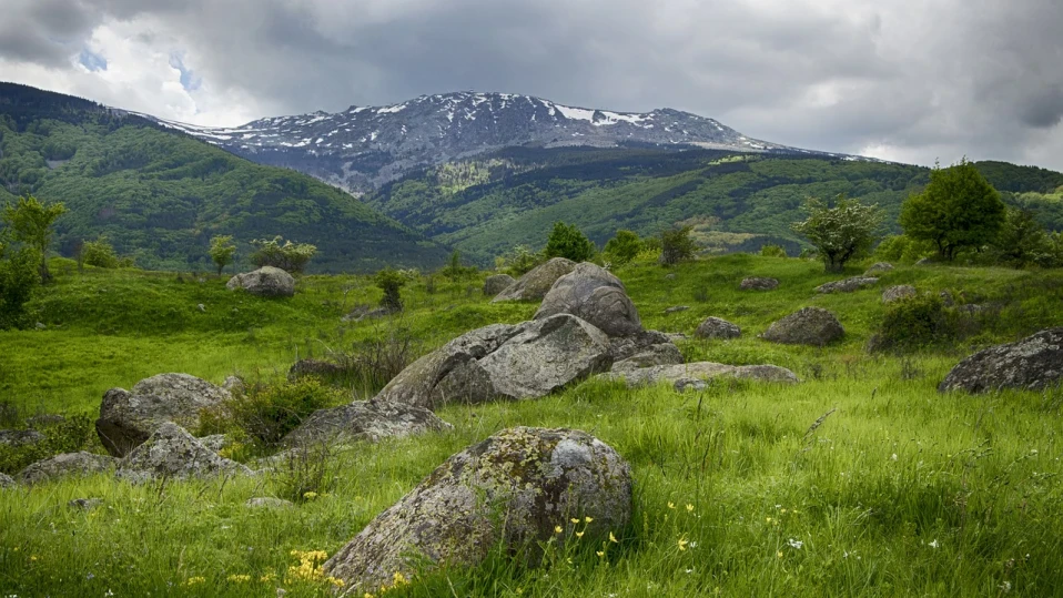 Планински спасители оказаха помощ на жена на Боянския водопад на Витоша