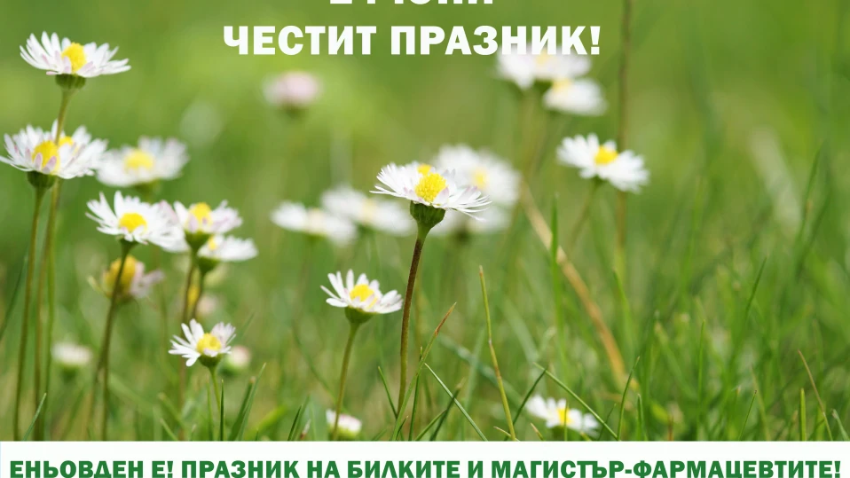 Еньовден е! Магистър-фармацевтите си пожелават да бъдат ценени и всеки да мисли за фармацията, когато мисли за здравето си
