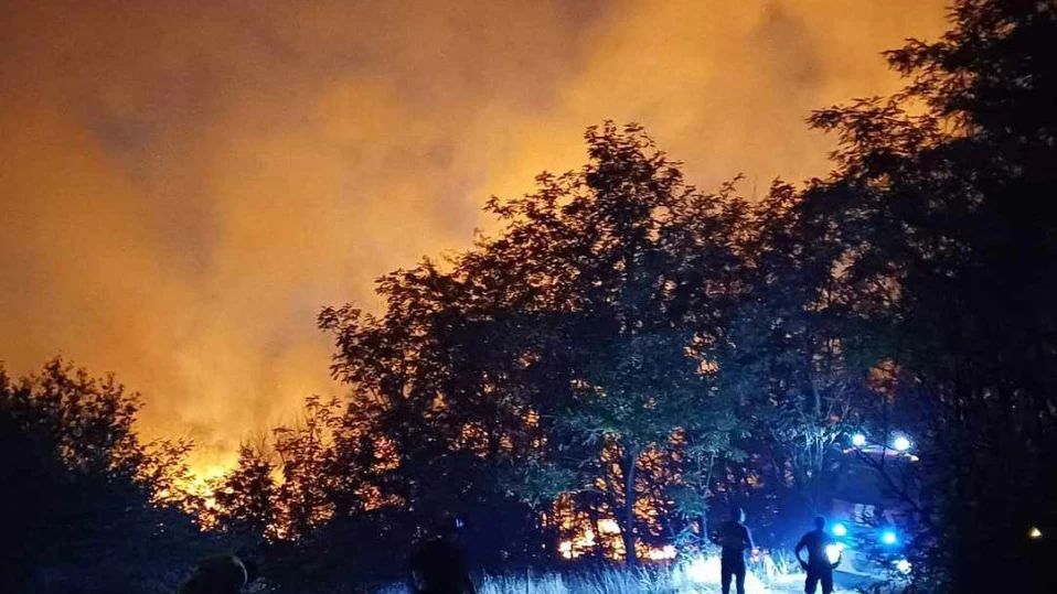 Потушиха големите пожари във Варненско