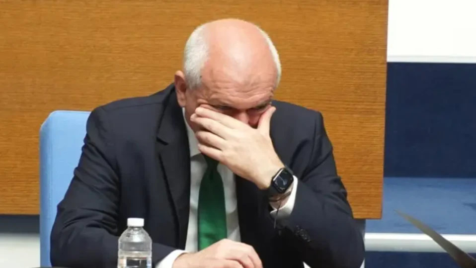 Димитър Главчев за пожарите: Ситуацията, макар и извънредна, е овладяна