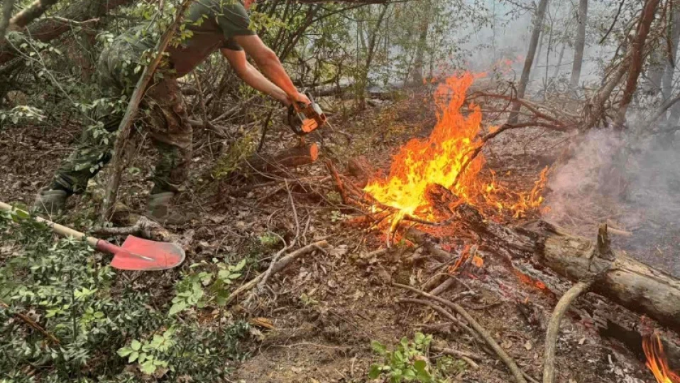 Шест дни военни оказват помощ в гасенето на пожарите (СНИМКИ)