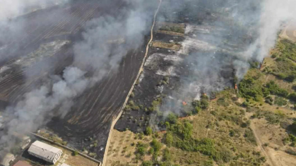 Кошара с 200 овце изгоря край Харманли