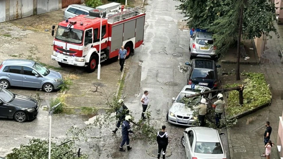Мощна буря удари Пазарджик, цели дървета се стовариха върху автомобили (СНИМКИ)
