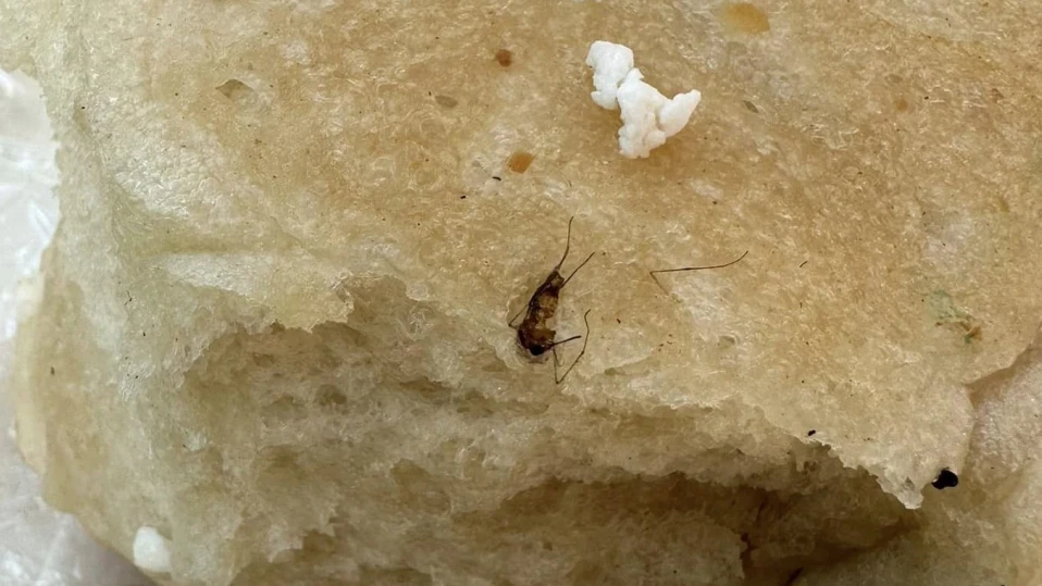 Топла закуска с хлебарка разгневи перничанка