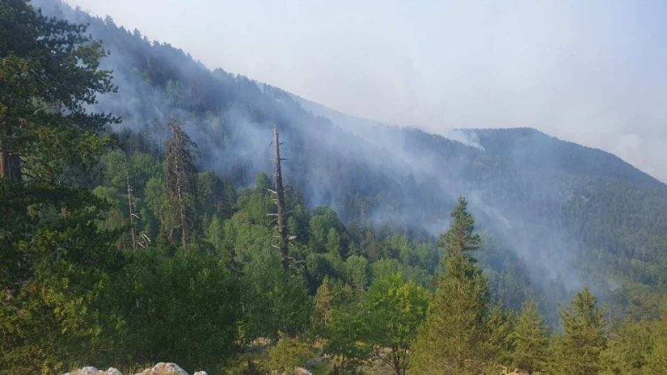 Военни остават в готовност заради пожара на българо-гръцката граница (СНИМКИ)