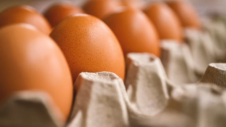 В ресторанта на олимпийското село липсват основни хранителни продукти