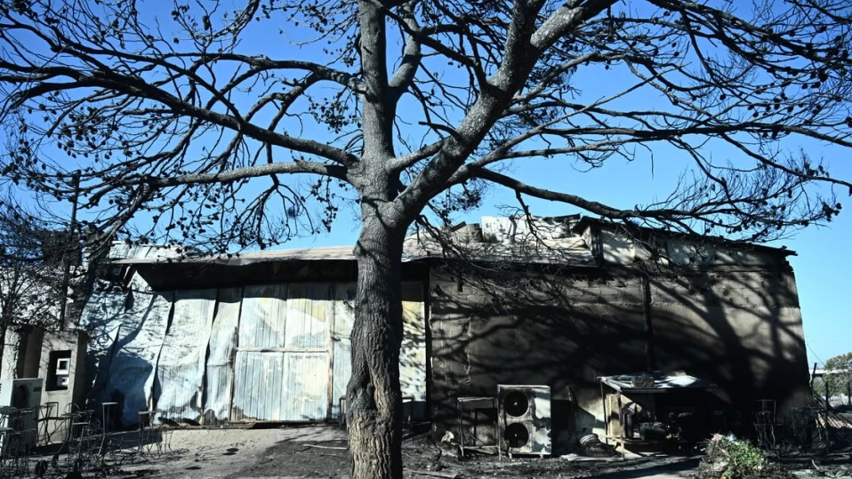 Рускиня е жертва на пожара в Атика