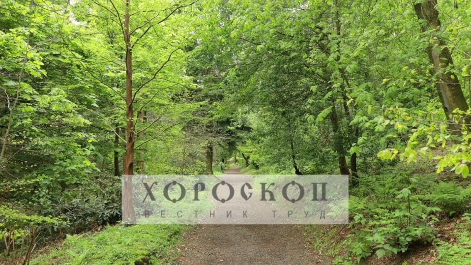 Хороскопът на Алена: Везните да проведат задълбочени разговори, Скорпионите да се разходят
