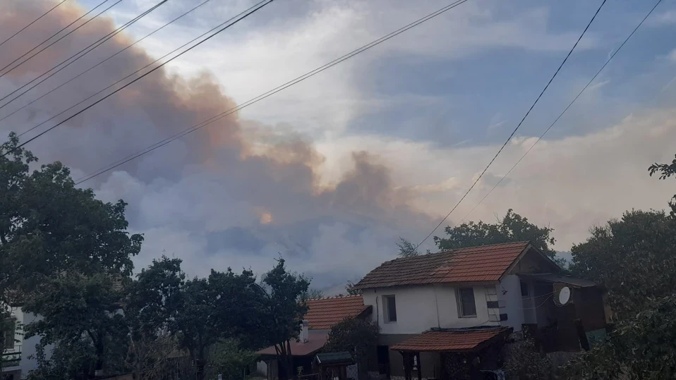 Голям пожар пламна в гората над пернишкото село Расник