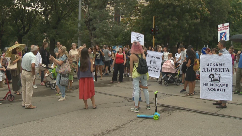 Протест срещу изсичането на дървета на улица "Опълченска" в София