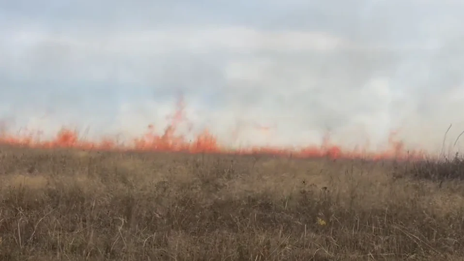 Сухи треви и храсти горят край старозагорското село Медово