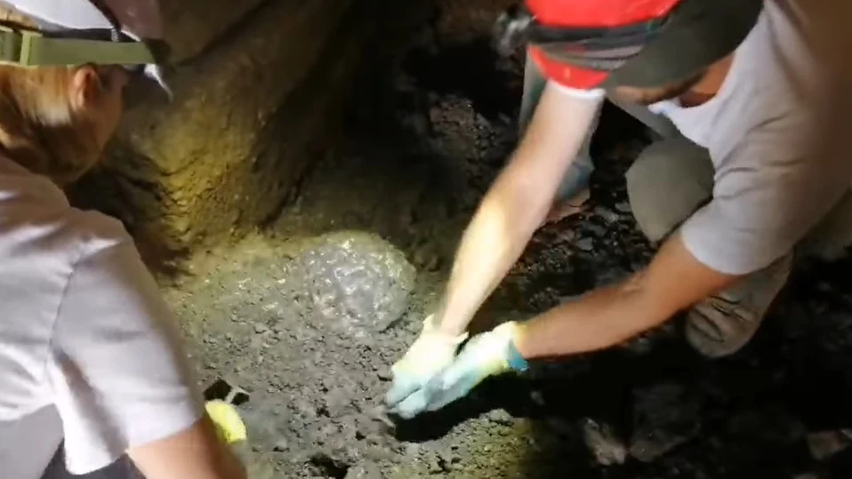 Глава на статуя откриха при разкопките в Хераклея Синтика (ВИДЕО)